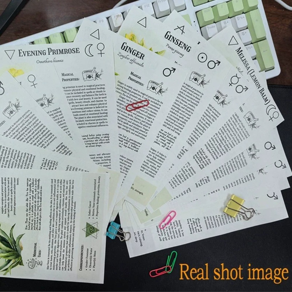 Libro de recetas de tinturas:  - Herbal Wellness Guide reseña y precio