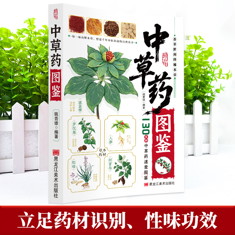 Guía Ilustrada de Medicina Her - Herbal Wellness Guide reseña y precio