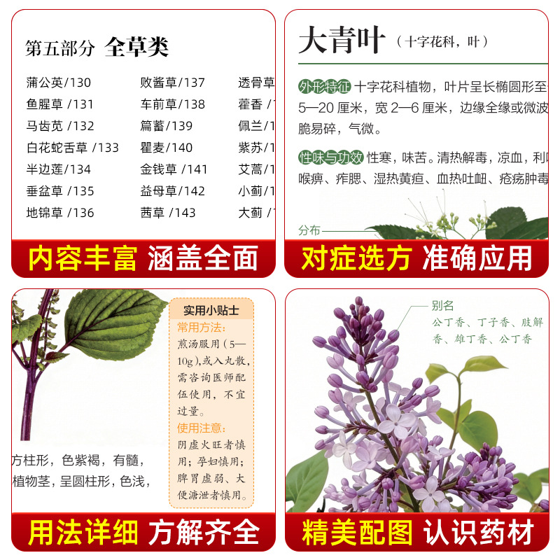Guía Ilustrada de Medicina Her - Herbal Wellness Guide reseña y precio